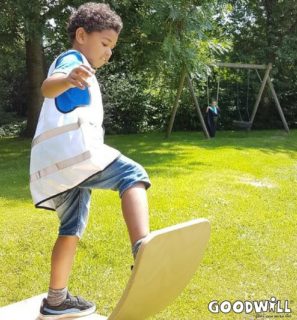 Schommelen en balanceren-Goodwill Day-Goodwill.nl